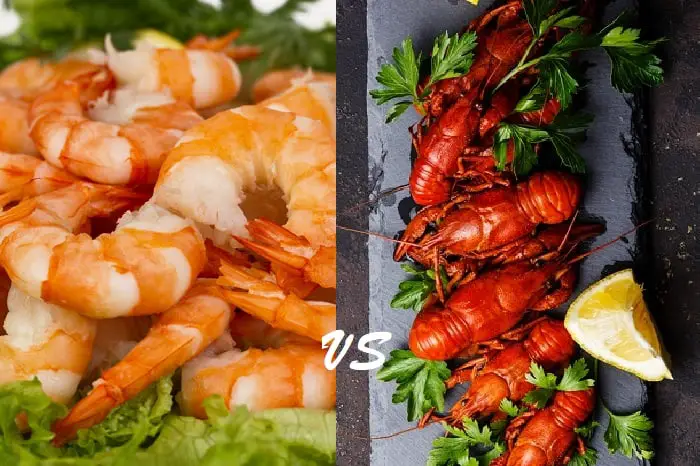 crawfish vs shrimp
