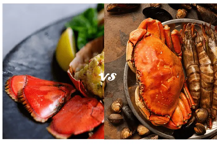 lobster vs crab